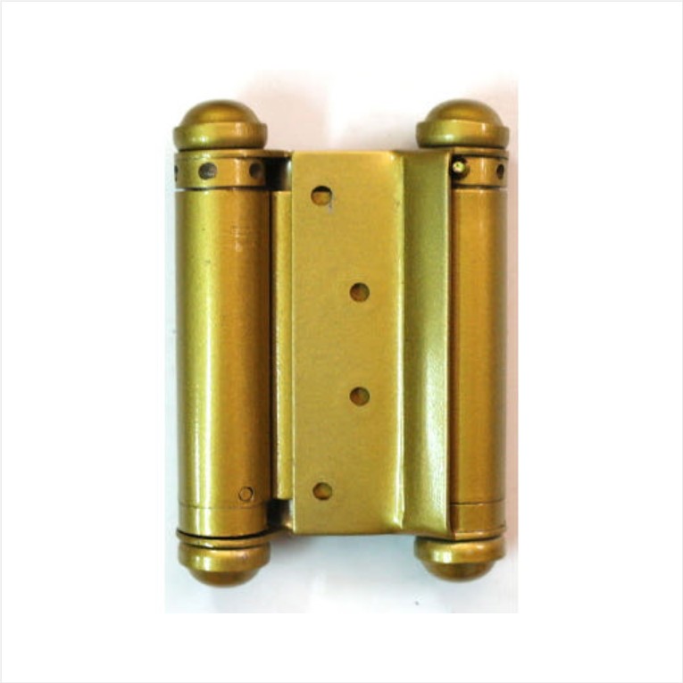 자유 경첩 (자유 정첩)