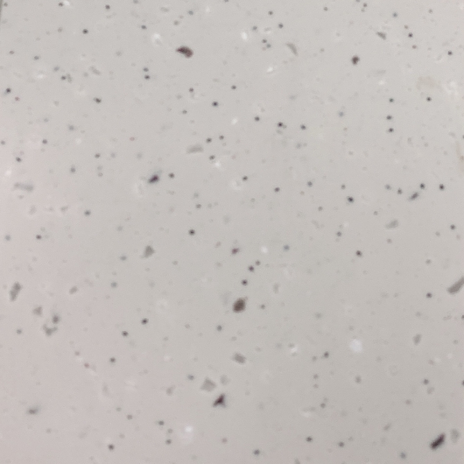 페블페이스트 PP823